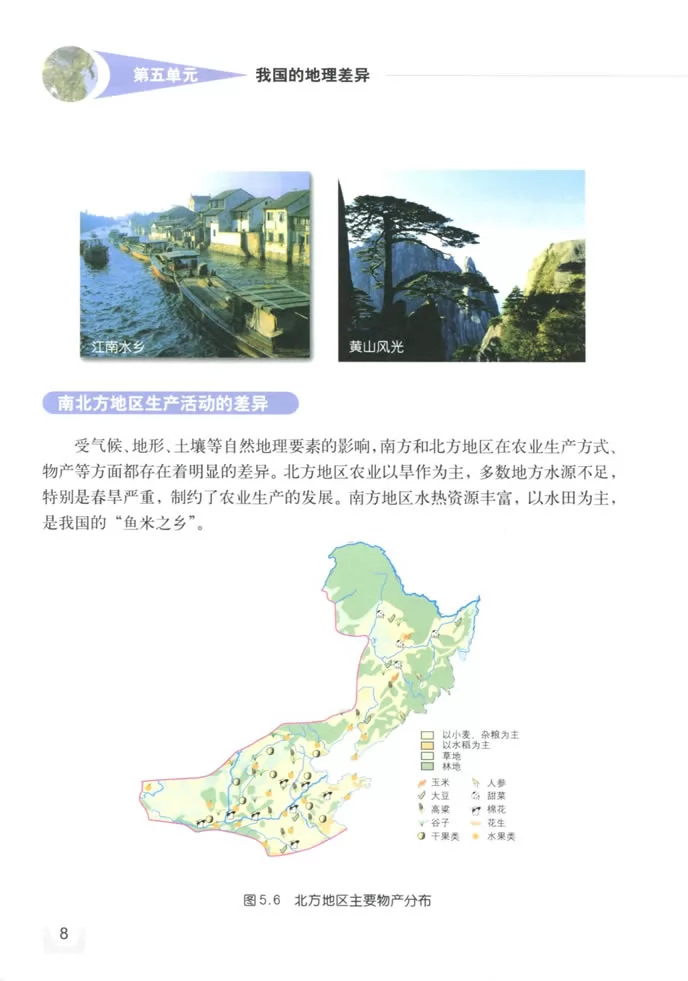 꼶̲